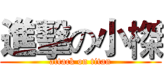 進擊の小榤 (attack on titan)