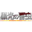 黒光の害虫 (Black on Insect)