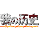 我の历史 (By:Kang Hong Liang)