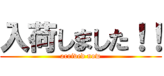入荷しました！！ (arrived now)