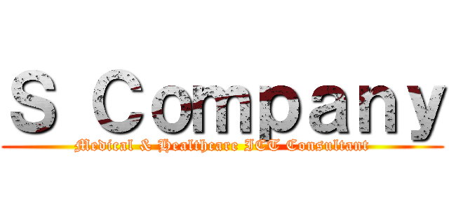 Ｓ Ｃｏｍｐａｎｙ (Medical & Healthcare ICT Consultant)