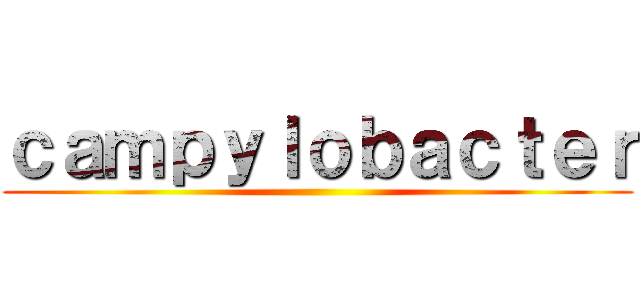 ｃａｍｐｙｌｏｂａｃｔｅｒ ()