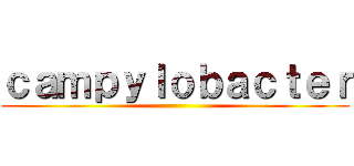 ｃａｍｐｙｌｏｂａｃｔｅｒ ()