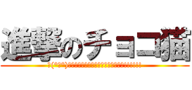 進撃のチョコ猫 (∠(°Д°)／イェェェェェェガァァァァァァァァ!!!!!!)