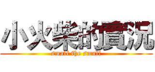 小火柴的實況 (small the small)