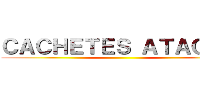 ＣＡＣＨＥＴＥＳ ＡＴＡＱＵＥ ()