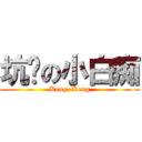 坑爹の小白痴 (Keng  Keng)