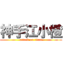 神手江小橙 (attack on titan)