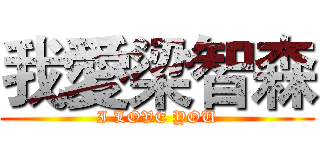我愛梁智森 (I LOVE YOU)