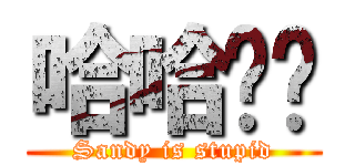 哈哈雞雞 (Sandy is stupid)