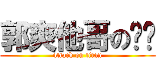 郭爽他哥の进擊 (attack on titan)