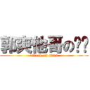 郭爽他哥の进擊 (attack on titan)