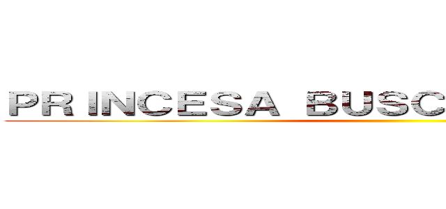 ＰＲＩＮＣＥＳＡ ＢＵＳＣＡ ＰＲＩＮＣＥＳＡ ()