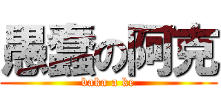愚蠢の阿克 (baka a ke)