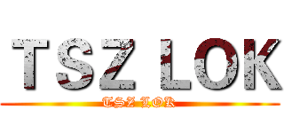 ＴＳＺ ＬＯＫ (TSZ LOK)