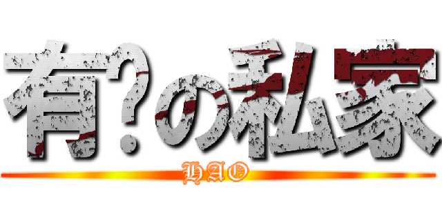 有钱の私家 (HAO)