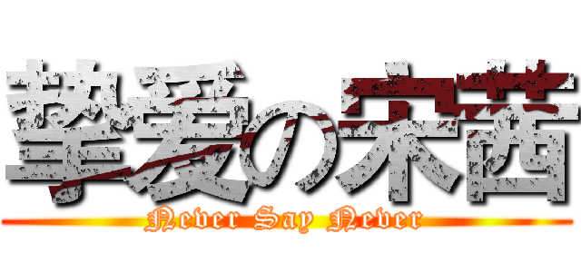 挚爱の宋茜 (Never Say Never)