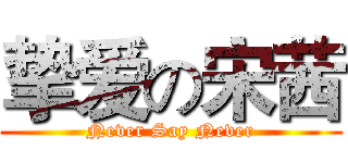 挚爱の宋茜 (Never Say Never)