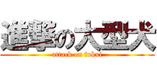 進撃の大型犬 (attack on fukui)