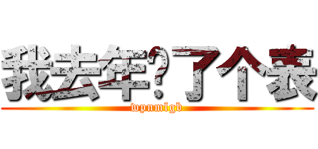 我去年买了个表 (wpnmlgb)
