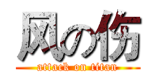 风の伤 (attack on titan)