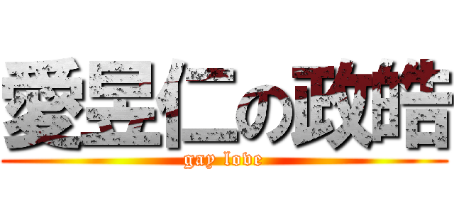 愛昱仁の政皓 (gay love)