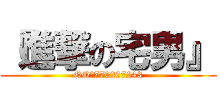 『進撃の宅男』 (QQ：770207243)