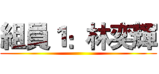 組員１：林奕輝 ()
