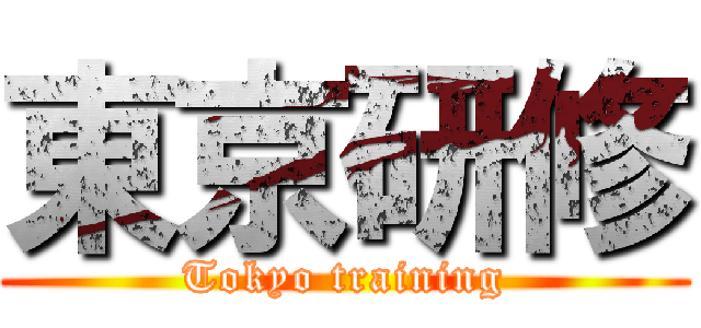 東京研修 (Tokyo training)