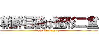 朝鮮目袋は整形二重 (plastic surgery)