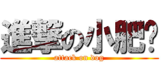 進撃の小肥妞 (attack on dog)