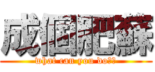 成個肥蘇 (what can you do??)