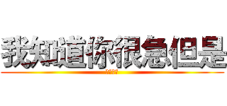 我知道你很急但是 (你先别急)