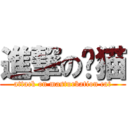 進撃の撸猫 (attack on masturbation cat)