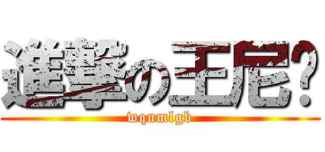 進撃の王尼玛 (wqnmlgb)