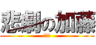 悲劇の加藤 (不解釋)