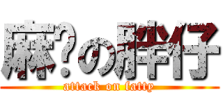 麻烦の胖仔 (attack on fatty)