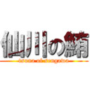 仙川の鮪 (tsuna of sengawa)