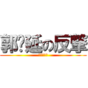 郭树延の反撃 (人間の反撃)