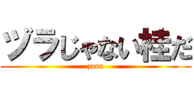 ヅラじゃない桂だ (zura)