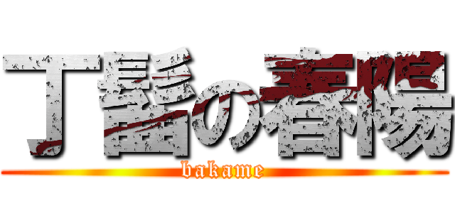 丁髷の春陽 (bakame)