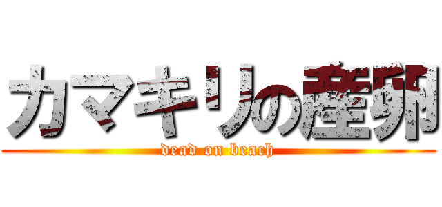 カマキリの産卵 (dead on beach)