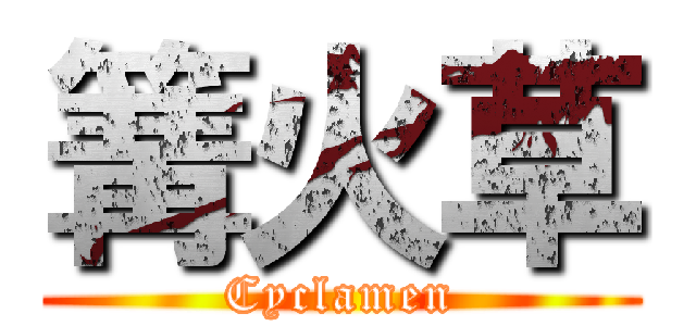 篝火草 (Cyclamen)