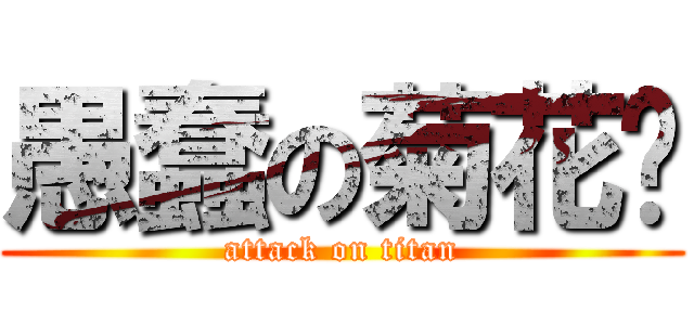 愚蠢の菊花乐 (attack on titan)