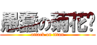愚蠢の菊花乐 (attack on titan)