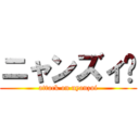 ニャンズィ‼ (attack on nyanzui)
