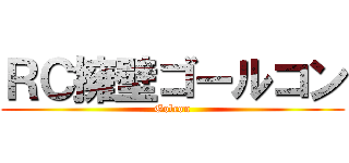 ＲＣ擁壁ゴールコン (Golcon)
