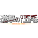 進撃の赌五毛 (attack on titan)