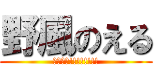 野風のえる (ｱﾀｯｸ!!!!!!!!)