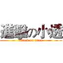 進擊の小透 (attack on titan)